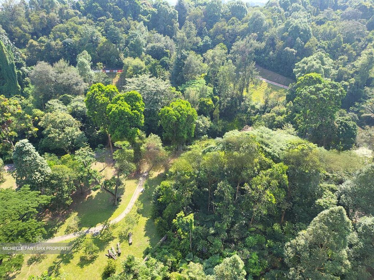 Normanton Park (D5), Apartment #482558521